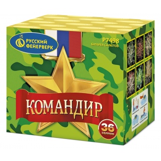 Командир (1,0